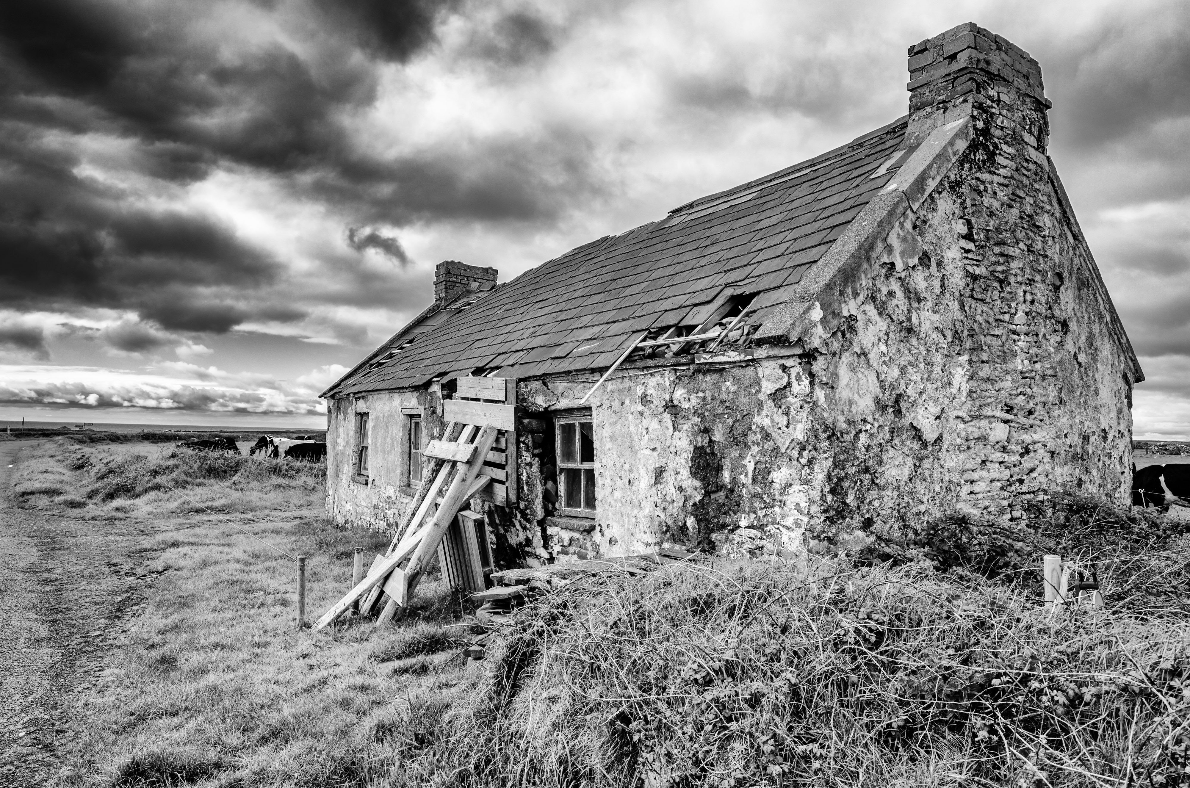 DSC_5429-Edit